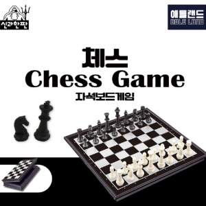 11000 체스 자석보드게임